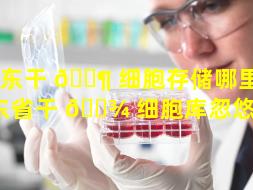 山东干 🐶 细胞存储哪里好（山东省干 🌾 细胞库忽悠人吗）